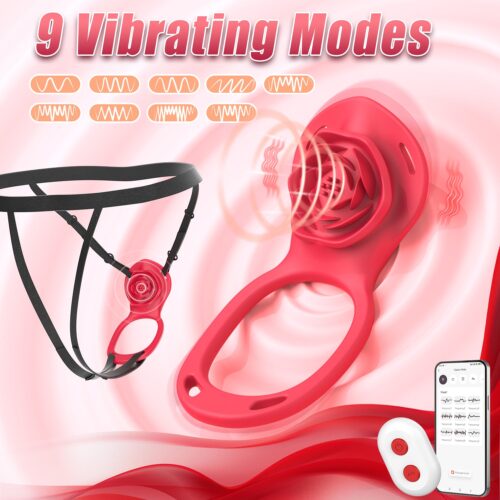 Wearable Panty Vibrator Couples Adult Sex Toys Clitoral Stimulator - Image 5