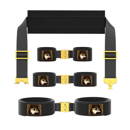 Bondage Restraints Gear - Image 22