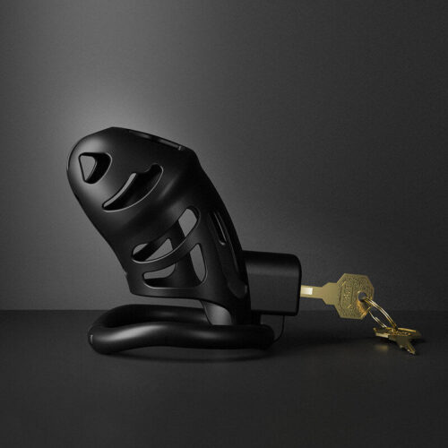 Sevanda BDSM male Male chastity cock cage - Image 4
