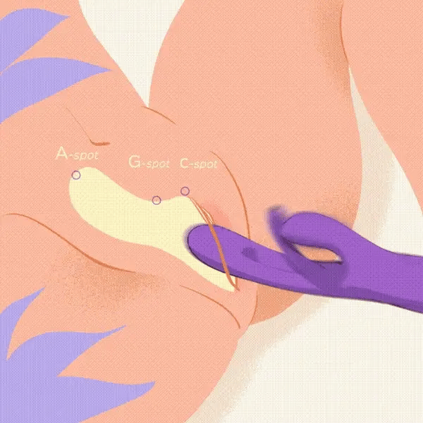 Bora Rabbit Tapping G-spot Vibrator - Image 5