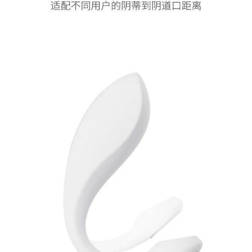 CACHITO Roaming Pro Panty Vibrator APP control - Image 6