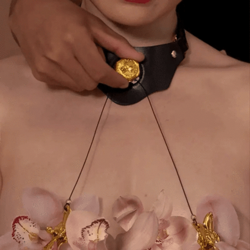 Upko Mystic Bond Collection - Collar With Pulling Nipple Clamps - Image 4