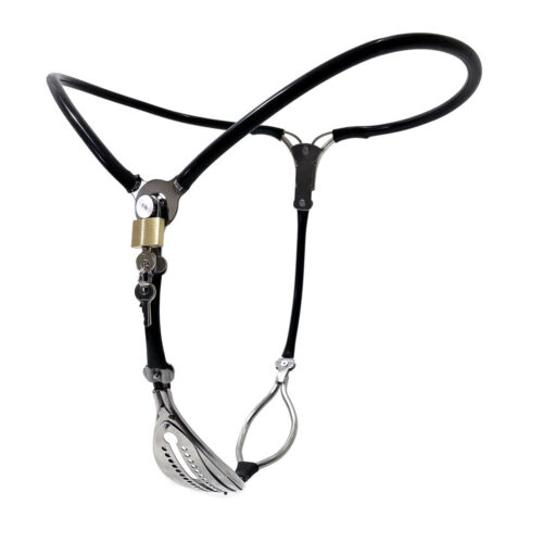 Black Emperor Y-Type Female Stainless Steel Invisible Chastity Belt - Image 3