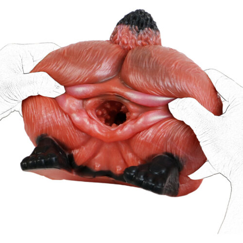 Fox Pussy Torso Buttocks Sex Doll - Image 3