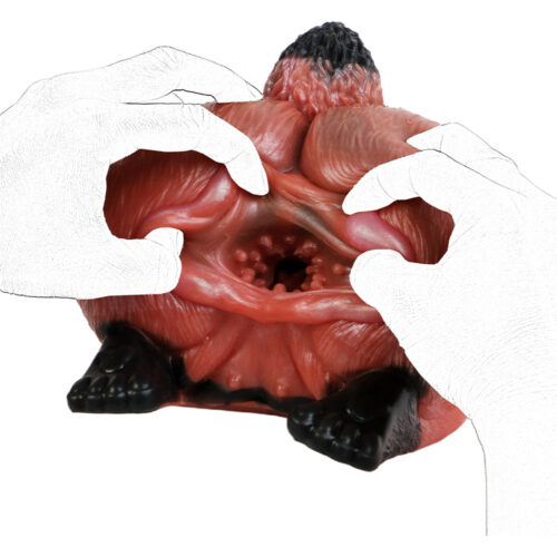 Fox Pussy Torso Buttocks Sex Doll - Image 10