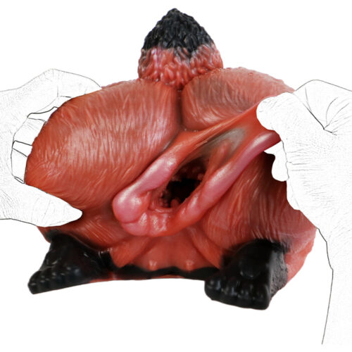 Fox Pussy Torso Buttocks Sex Doll - Image 12