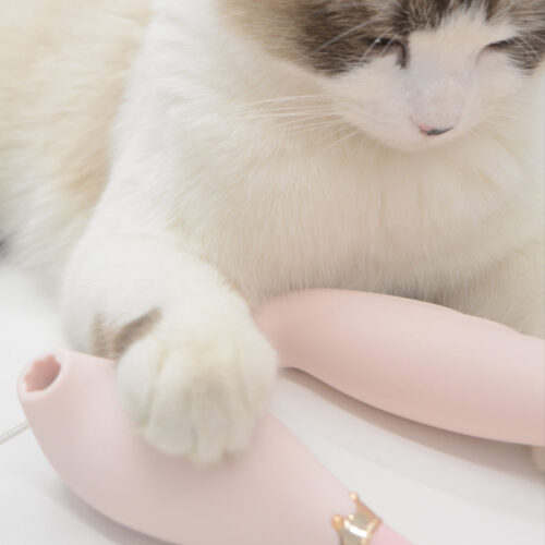 Alternative view of IOBANANA Meow gun suction machine Massager