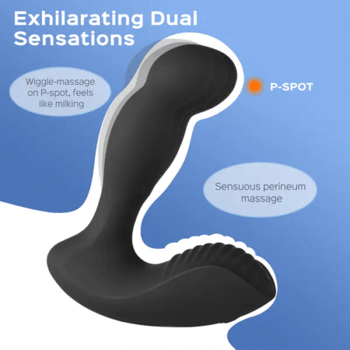 Quinn Motion Vibrating Prostate Massager - Image 2