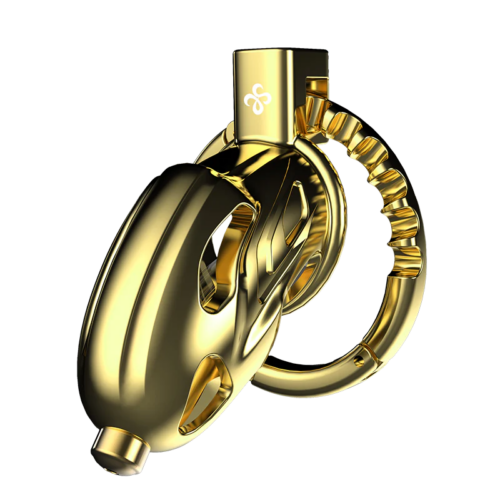 New Sevanda Outlaw Urethral Sounding Chastity Cage