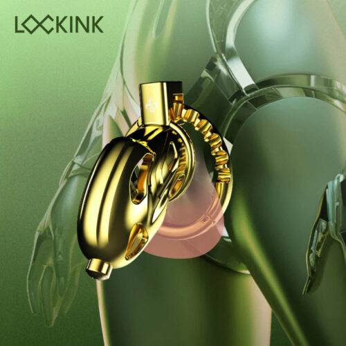 New Sevanda Outlaw Urethral Sounding Chastity Cage - Image 3