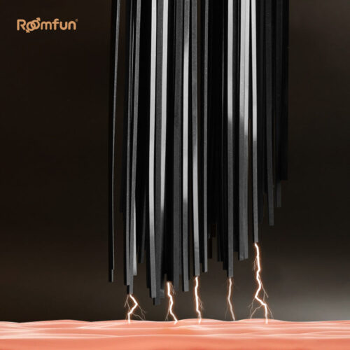 RoomFun BDSM Punishment Training Electric Whip - Image 7