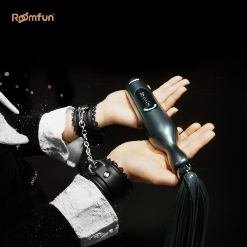 RoomFun BDSM Punishment Training Electric Whip - Image 9
