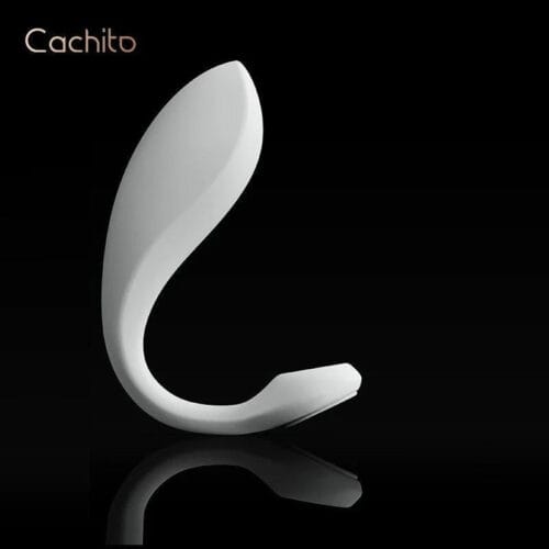 CACHITO Roaming Pro Panty Vibrator APP control - main product photo