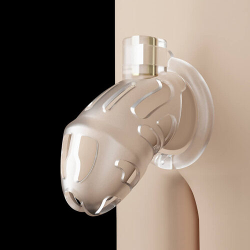 Sevanda BDSM male Male chastity cock cage - Image 2