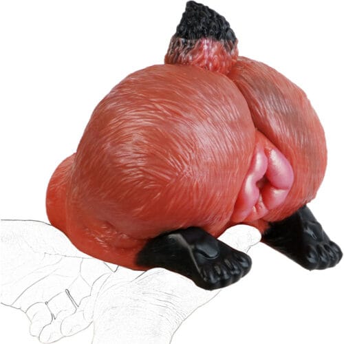 Fox Pussy Torso Buttocks Sex Doll - product photo 6