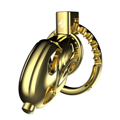 New Sevanda Outlaw Urethral Sounding Chastity Cage - main product photo