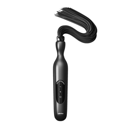 RoomFun BDSM Punishment Training Electric Whip - main product photo