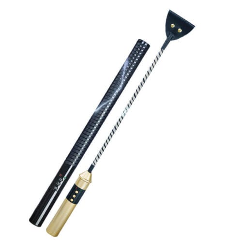 Roomfun Passionnate Electric Whip - main product photo
